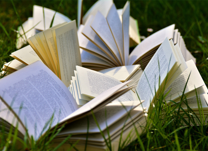 Lecturas de verano: los libros «eco» para toda la familia