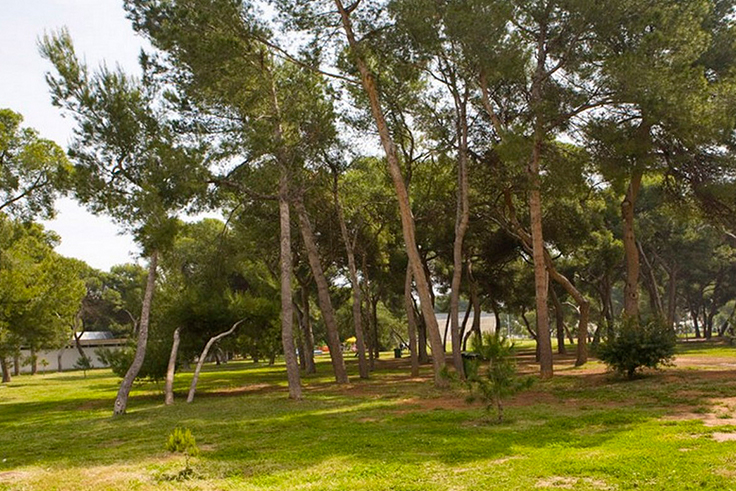 parque el pinar